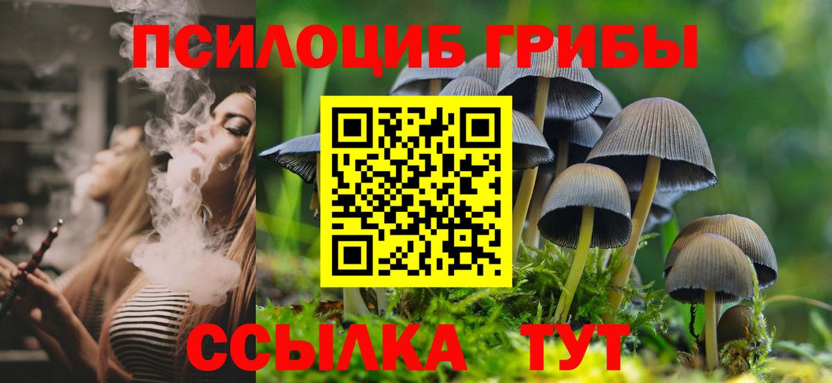 Галлюциногенные грибы GOLDEN TEACHER  Галлюциногенные грибы Magic Shrooms  Вход с VPN  Саров 